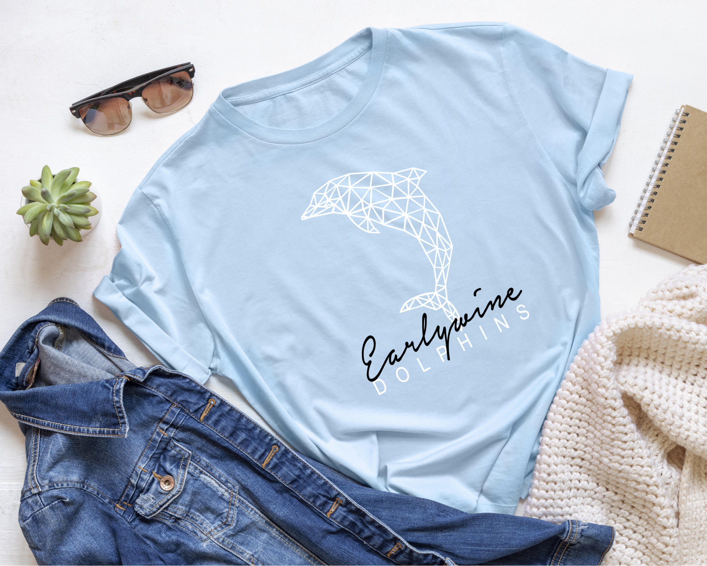 Light blue t-shirt featuring a geometric dolphin graphic with Earlywine Dolphins lettering in a clean modern design.
